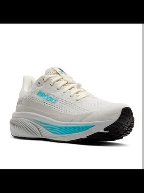 Brooks Women's Ghost 17 GTX Running Shoe